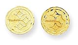 14k NFL Pittsburgh Steelers Earrings