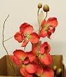 Hot Pink Phaelanopsis Faux Orchid in Olive Jar Clay Pot (30 inch)