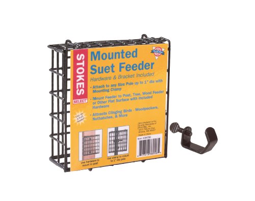 Stokes Select 38058 Mounted Suet Feeder