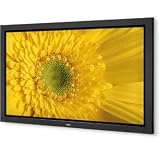 NEC Multisync LCD1770NXM-2 17-Inch LCD Monitor