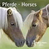 Pferde 2011. Trends & Classics Kalender