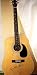 New - Alpine - Model #GA 202 - Acoustic Guitar - Signed In Person by Brian Wilson (Beach Boys) - Very Rare - Collectible