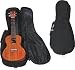 Lanikai Concert Ukulele Gig Bag