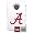 University of Alabama Crimson Tide