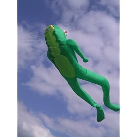 Le Frog 4.2 M Kite