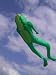 Le Frog 2.1 M Kite