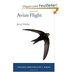 Avian Flight