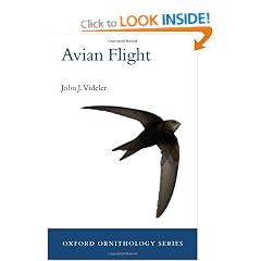 Avian Flight