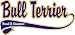 Bull Terrier Breed of Champion Apron