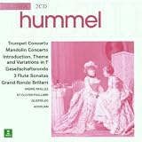 Concerto pour trompette