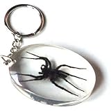 Echter Spinne Schl�sselanh�nger Gr�sse M | der Spinnenanh�nger