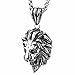 COPAUL Jewelry Punk Men's Stainless Steel Animal Lion Head Shape Pendant Necklace,Three Colors