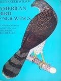 American bird engravings ...