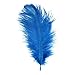 10pcs Home Decor Blue Ostrich Feathers