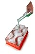 Barbuzzo Ice Luge