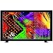 NEC MultiSync LCD4615 46 inch Wide Screen 3000:1 8ms DVI/BNC LCD Monitor (Black)