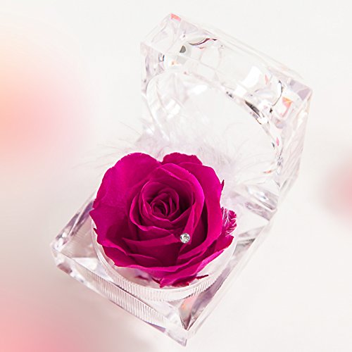 TEATSIGHT(ティートサイト) プリザーブドフラワー ギフト 枯れないお花 「バラ&スワロフスキー&羽根のジュエリーボックス」 ミニアレンジメント ホットピンク TEATSIGHT(ティートサイト) プリザーブドフラワー ギフト 枯れないお花 「バラ&スワロフスキー&羽根のジュエリーボックス」 ミニアレンジメント ホットピンク
