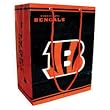 Cincinnati Bengals NFL Medium Gift Bag (9.75 Tall)"