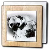 Dogs Pug - Hug a Pug Puppies - Tile Napkin Holders