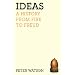Ideas: A History