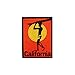 California Surfboard Patch Beach Bum Ocean Surf Embroidered Iron On Applique