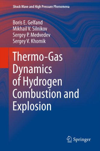 Thermo-Gas Dynamics of Hydrogen Combustion and Explosion (Shock Wave and High Pressure Phenomena)