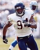 Brendon Ayanbadejo Chicago Bears 8x10 Photo