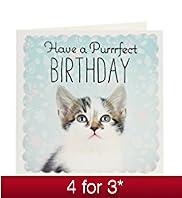 Photographic Cat Birthday Card