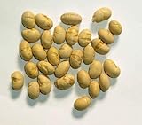 素煎り 大豆　1kg　製造直売　無添加