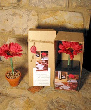 Red Daisy Boxed Topiary Flower Pen