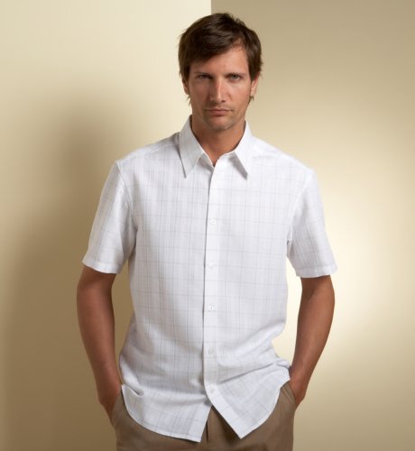 Big & Tall Autograph Short Sleeve Check Shirt