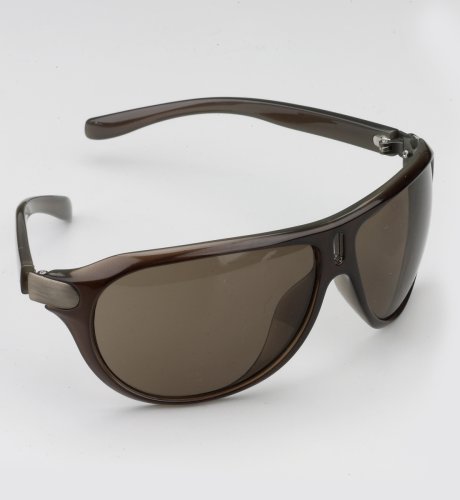 Oval Notch Sunglasses