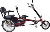 International Surrey Company EZ Rider Deuce 2-Person Electric Tricycle