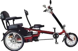 International Surrey Company EZ Rider Deuce 2-Person Electric Tricycle