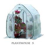 PlantHouse 5'