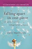 Falling Apart in One Piece: One Optimists Journey Through the Hell of Divorce   [FALLING APART IN 1 PIECE] [Paperback]