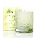 Thymes Poured Aromatic Candle, Eucalyptus