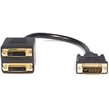 StarTech.com 1ft 30cm DVI-D to 2x DVI-D Digital Video Splitter Cable - Dual Link DVI-D Y Cable - Mirror a DVI-D display to 2 displays