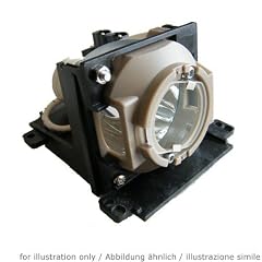Go Lamps GL192 Ersatzlampe (300 Watt, bis 2000 Stunden) f�r 610-306-5977