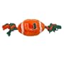 NCAA Plush Football Dog Toy, Large, University of Miami Hurricanes