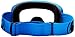 Dragon Alliance NFX Ski Goggles
