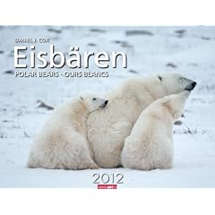 Eisb�ren 2012
