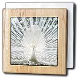 White Peacock - 6 Inch Tile Napkin Holder