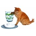 Catit Senses Food Maze