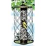 Perky Pet Colibri Preserve Seed Feeder