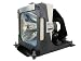 Battery1inc LV-LP11 Replacement Projector Lamp for SANYO PLC-SU30 PLC-SU31 PLC-SU32 PLC-SU33 PLC-SU35 PLC-SU37 PLC-SU38 PLC-XU30 PLC-XU31 PLC-XU32 PLC-XU33 PLC-XU35 PLC-XU37 PLC-XU38 Series