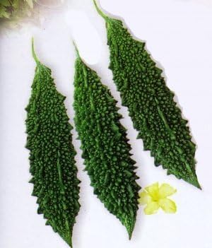Jawahar Bitter Gourd seed packet by Seeds of India