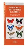 Costa Rica Butterflies & Moths: An Introduction to Familiar Species (A Pocket Naturalist Guide)