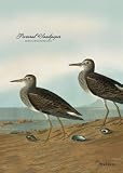 Audubon Flag, Sandpiper