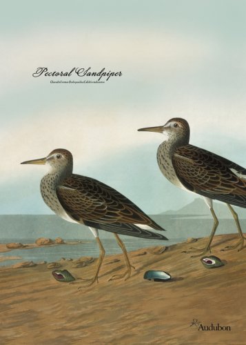 Audubon Garden Flag-Sandpiper